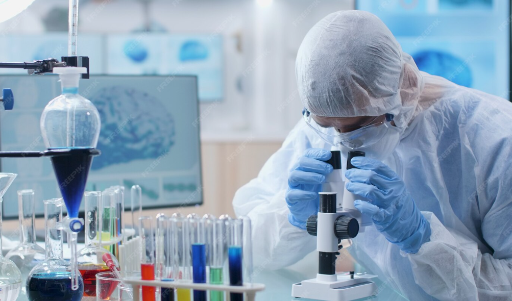 Best Degree Courses in Perinthalmanna
